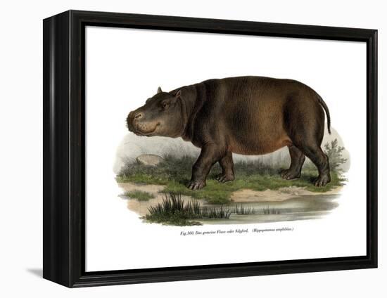 Hippopotamus, 1860-null-Framed Premier Image Canvas