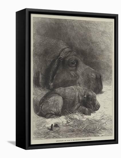 Hippopotamus and Young at the Zoological Society's Gardens-George Bouverie Goddard-Framed Premier Image Canvas