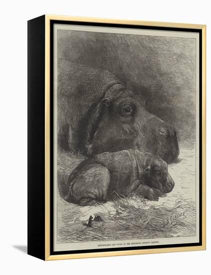 Hippopotamus and Young at the Zoological Society's Gardens-George Bouverie Goddard-Framed Premier Image Canvas