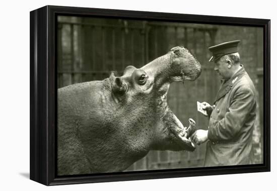 Hippopotamus 'Bobbie' with Keeper Ernie Bowman, London Zoo,1927 (B/W Photo)-Frederick William Bond-Framed Premier Image Canvas