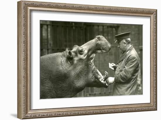 Hippopotamus 'Bobbie' with Keeper Ernie Bowman, London Zoo,1927 (B/W Photo)-Frederick William Bond-Framed Giclee Print