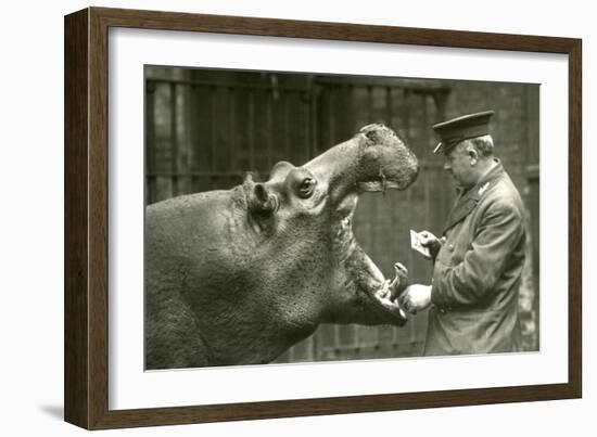 Hippopotamus 'Bobbie' with Keeper Ernie Bowman, London Zoo,1927 (B/W Photo)-Frederick William Bond-Framed Giclee Print