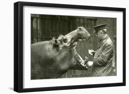 Hippopotamus 'Bobbie' with Keeper Ernie Bowman, London Zoo,1927 (B/W Photo)-Frederick William Bond-Framed Giclee Print