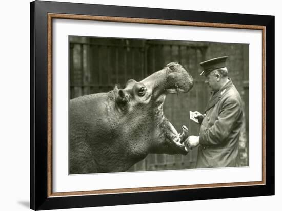 Hippopotamus 'Bobbie' with Keeper Ernie Bowman, London Zoo,1927 (B/W Photo)-Frederick William Bond-Framed Giclee Print