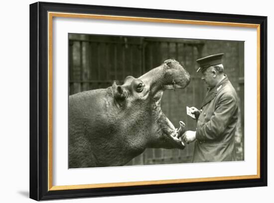 Hippopotamus 'Bobbie' with Keeper Ernie Bowman, London Zoo,1927 (B/W Photo)-Frederick William Bond-Framed Giclee Print