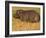 Hippopotamus, Busanga Plains, Kafue National Park, Zambi, Africa-Sergio Pitamitz-Framed Photographic Print