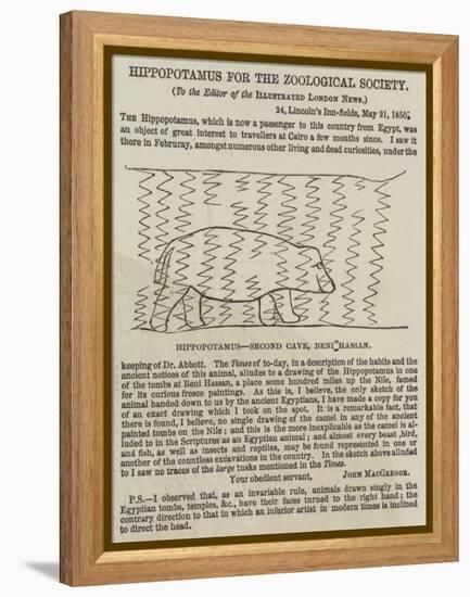 Hippopotamus for the Zoological Society-null-Framed Premier Image Canvas