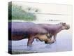 Stretched Canvas Print