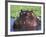 Hippopotamus Head Above Water, Kruger National Park, South Africa-Tony Heald-Framed Photographic Print