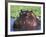 Hippopotamus Head Above Water, Kruger National Park, South Africa-Tony Heald-Framed Photographic Print