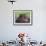 Hippopotamus Head Above Water, Kruger National Park, South Africa-Tony Heald-Framed Photographic Print displayed on a wall