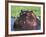 Hippopotamus Head Above Water, Kruger National Park, South Africa-Tony Heald-Framed Photographic Print