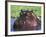 Hippopotamus Head Above Water, Kruger National Park, South Africa-Tony Heald-Framed Photographic Print