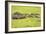 Hippopotamus (Hippopotamus Amphibious), Zambia, Africa-Janette Hill-Framed Photographic Print