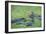 Hippopotamus (Hippopotamus Amphibious), Zambia, Africa-Janette Hill-Framed Photographic Print