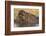 Hippopotamus (Hippopotamus amphibius) feeding, Chobe River, Botswana, Africa-Ann and Steve Toon-Framed Photographic Print