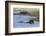 Hippopotamus (Hippopotamus amphibius) in the River Khwai, Khwai Concession, Okavango Delta, Botswan-Sergio Pitamitz-Framed Photographic Print