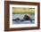 Hippopotamus (Hippopotamus amphibius), Khwai Concession, Okavango Delta, Botswana, Africa-Sergio Pitamitz-Framed Photographic Print