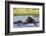 Hippopotamus (Hippopotamus amphibius), Khwai Concession, Okavango Delta, Botswana, Africa-Sergio Pitamitz-Framed Photographic Print