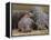 Hippopotamus (Hippopotamus Amphibius), Masai Mara, Kenya, East Africa, Africa-Sergio Pitamitz-Framed Premier Image Canvas