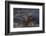 Hippopotamus (Hippopotamus Amphibius), Serengeti National Park, Tanzania, East Africa, Africa-James Hager-Framed Photographic Print