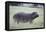 Hippopotamus in the Savanna Grass-DLILLC-Framed Premier Image Canvas