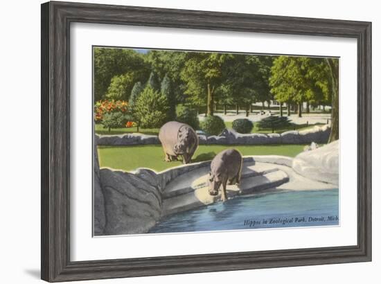 Hippopotamus in Zoo, Detroit, Michigan-null-Framed Art Print