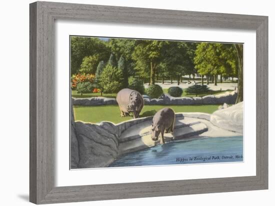 Hippopotamus in Zoo, Detroit, Michigan-null-Framed Art Print