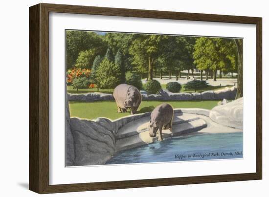 Hippopotamus in Zoo, Detroit, Michigan-null-Framed Art Print