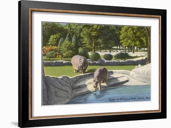 Hippopotamus in Zoo, Detroit, Michigan-null-Framed Art Print