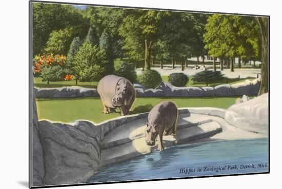 Hippopotamus in Zoo, Detroit, Michigan-null-Mounted Art Print