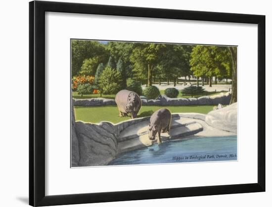 Hippopotamus in Zoo, Detroit, Michigan-null-Framed Art Print