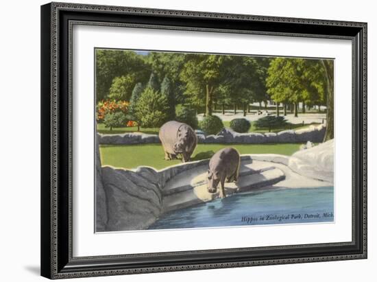 Hippopotamus in Zoo, Detroit, Michigan-null-Framed Art Print