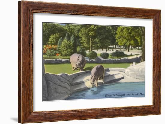 Hippopotamus in Zoo, Detroit, Michigan-null-Framed Premium Giclee Print