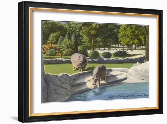Hippopotamus in Zoo, Detroit, Michigan-null-Framed Premium Giclee Print
