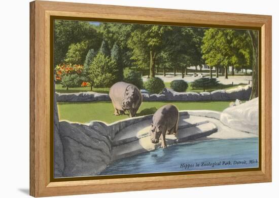 Hippopotamus in Zoo, Detroit, Michigan-null-Framed Stretched Canvas