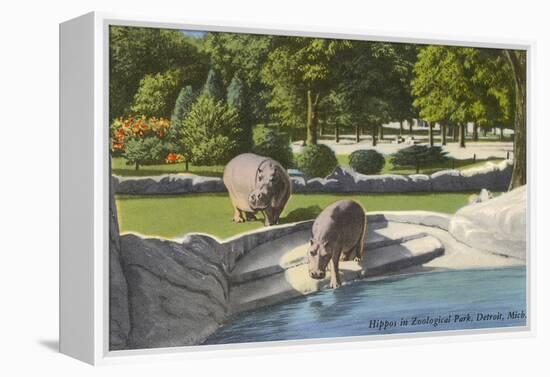 Hippopotamus in Zoo, Detroit, Michigan-null-Framed Stretched Canvas