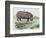 Hippopotamus or Hippo (Hippopotamus Amphibius), Hippopotamidae-null-Framed Giclee Print