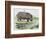 Hippopotamus or Hippo (Hippopotamus Amphibius), Hippopotamidae-null-Framed Giclee Print