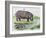 Hippopotamus or Hippo (Hippopotamus Amphibius), Hippopotamidae-null-Framed Giclee Print