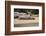 Hippopotamus, Queen Elizabeth National Park, Uganda, Africa-Janette Hill-Framed Photographic Print