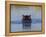 Hippopotamus Submerged in Water, Moremi Wildlife Reserve Bostwana Africa-Tony Heald-Framed Premier Image Canvas