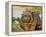 Hippopotamus, Tanzania-Charles Sleicher-Framed Premier Image Canvas