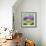 Hippopotamus-Denny Driver-Framed Giclee Print displayed on a wall