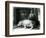 Hippopotamuses Joan and Jimmy at London Zoo in 1927 (B/W Photo)-Frederick William Bond-Framed Giclee Print