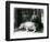 Hippopotamuses Joan and Jimmy at London Zoo in 1927 (B/W Photo)-Frederick William Bond-Framed Giclee Print