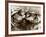 Hippos Kissing, 1965-null-Framed Photographic Print