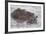 Hippos Swim Beside Each Other, Ngorongoro Conservation Area, Tanzania-James Heupel-Framed Photographic Print