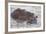 Hippos Swim Beside Each Other, Ngorongoro Conservation Area, Tanzania-James Heupel-Framed Photographic Print