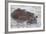 Hippos Swim Beside Each Other, Ngorongoro Conservation Area, Tanzania-James Heupel-Framed Photographic Print